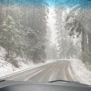 Meet your Posher, Hunter